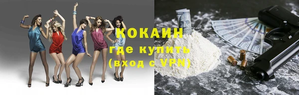 тгк Алзамай