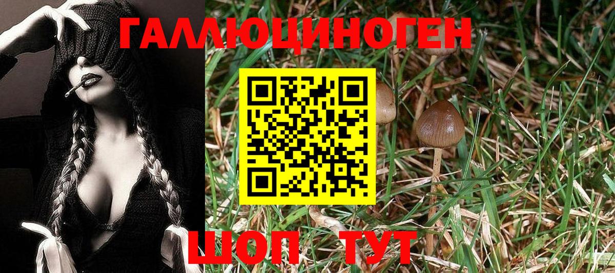 Псилоцибиновые грибы Cubensis  Вход с VPN  Сыктывкар 